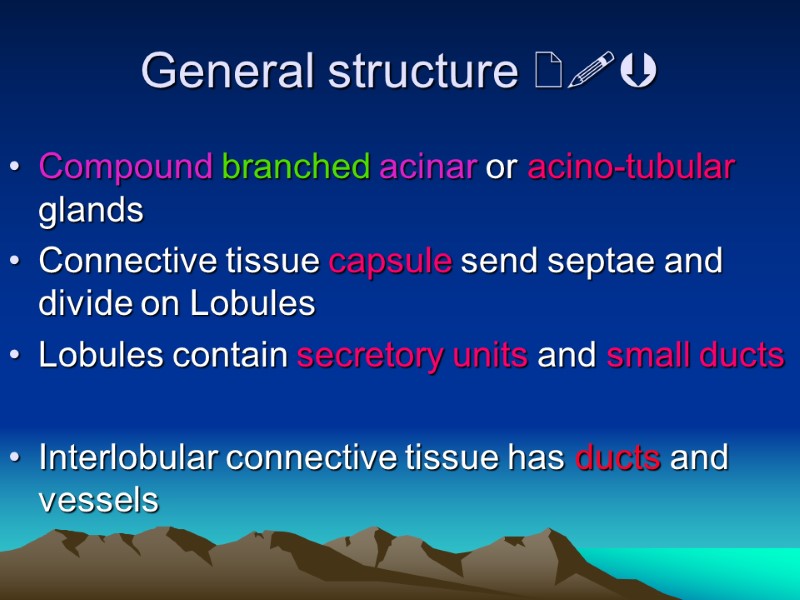 General structure   Compound branched acinar or acino-tubular glands Connective tissue capsule send